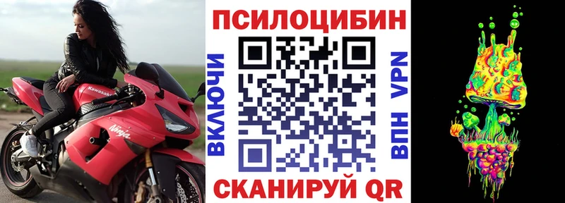 Псилоцибиновые грибы Cubensis  Мензелинск 
